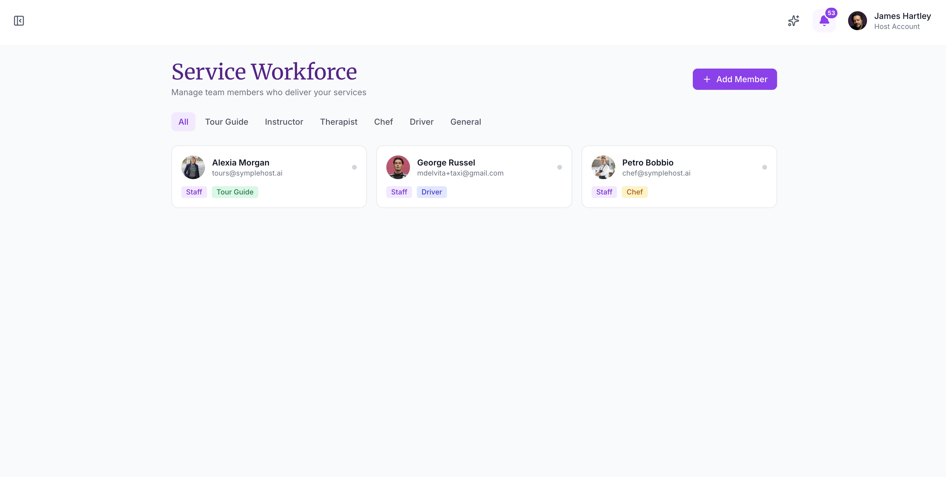 The Service Workforce page showing members grouped by category with tabs for All, Tour Guide, Instructor, Therapist, Chef, Driver, and General
